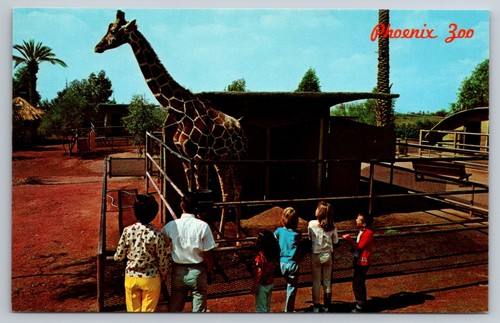 Phoenix zoo papago park - phoenix,